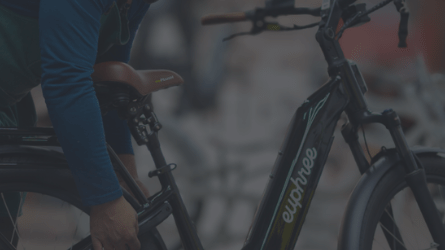 City Robin X+ Assembly Tutorial - euphree