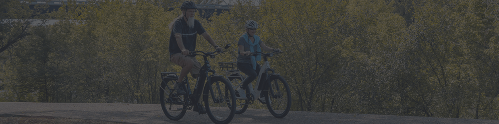 City Robin X+ Ebike Reviews - euphree