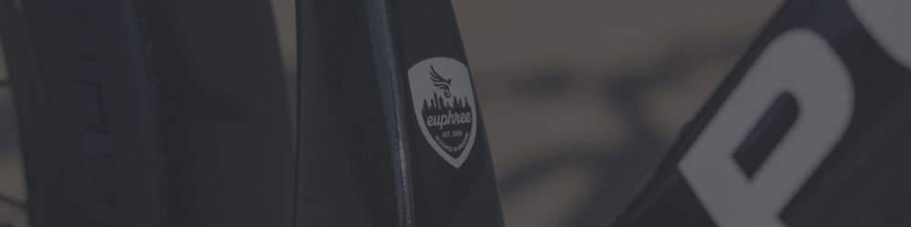 Best Ebike for NYC Riders - euphree