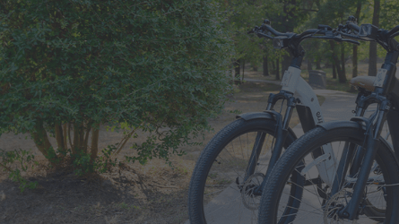 No App, Real Comfort & USA Support - euphree