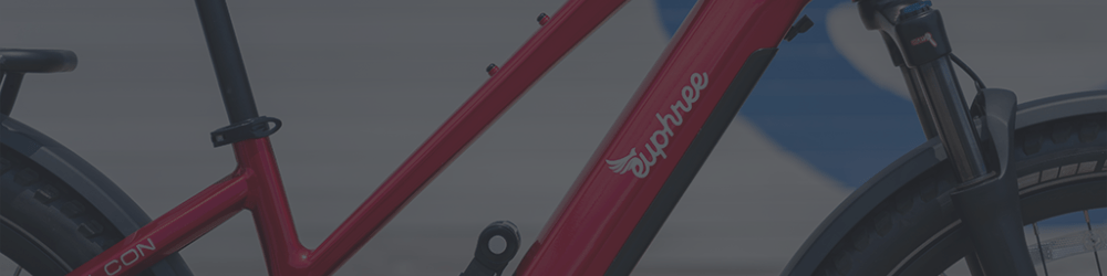 NYC Comfort and Safety - euphree