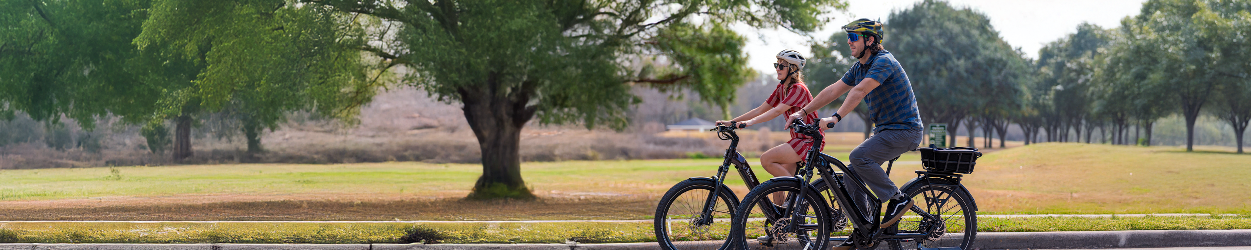 Stellar Falcon Ebikes