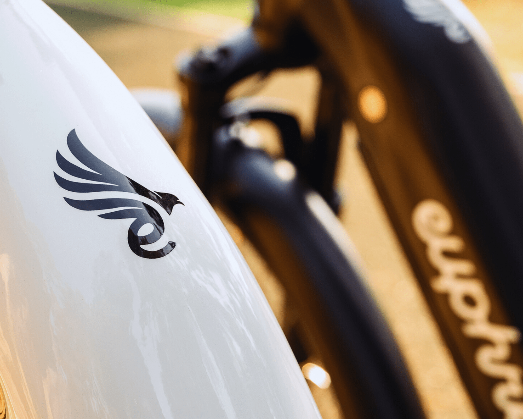 City Robin X+ Review: The Ultimate Urban E-bike Experience - euphree