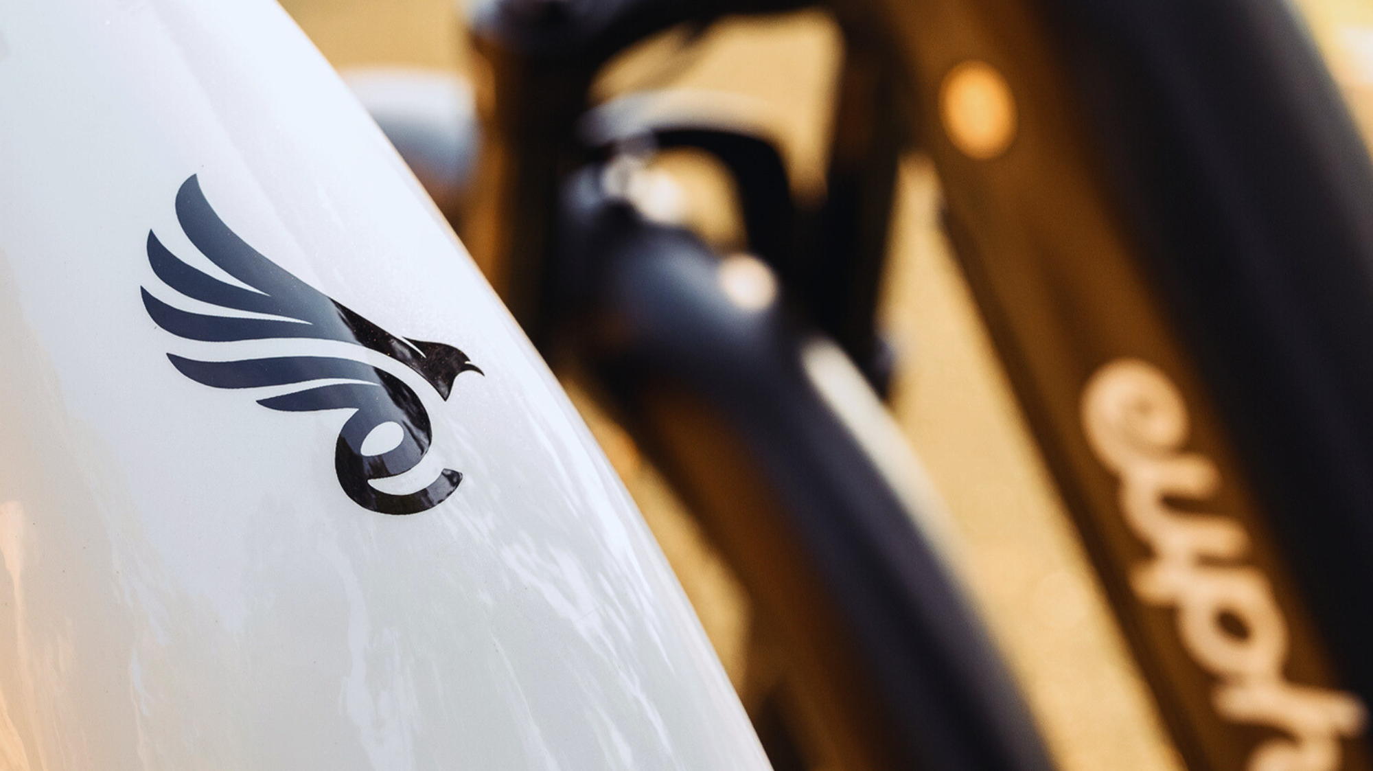 City Robin X+ Review: The Ultimate Urban E-bike Experience