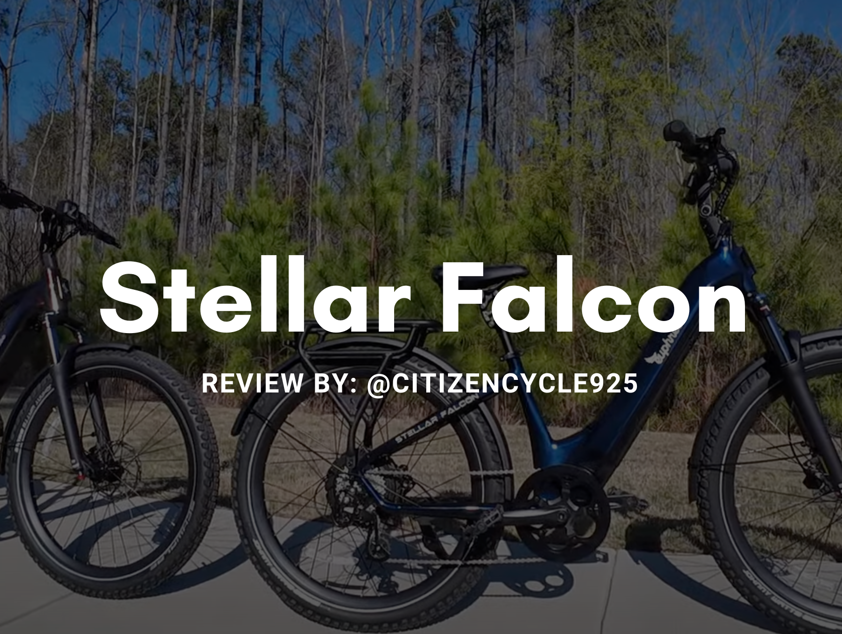 Introducing the Stellar Falcon: A Comprehensive Review