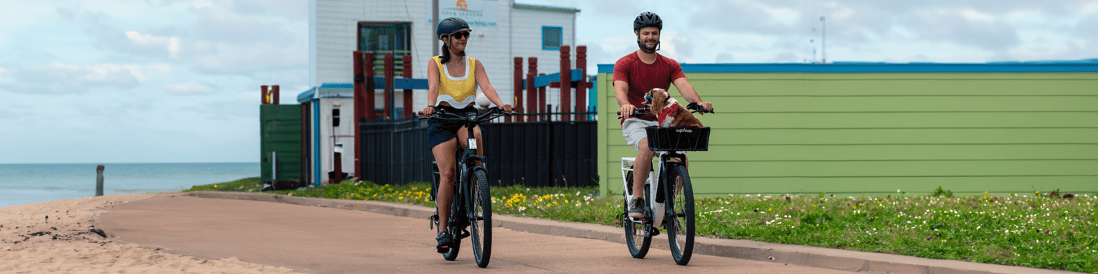 SGS Certification for Ebikes: Safety and Reliability in Accordance with UL - euphree