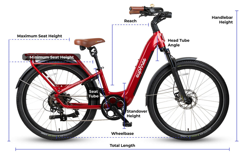 triumph e-bird plus 8k e-citybike The City Robin 3